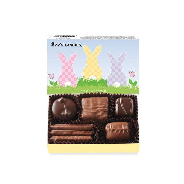 See's Candy Surprise Box